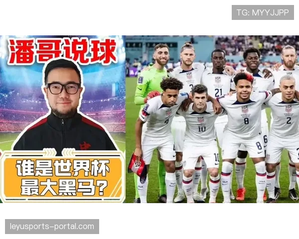 世界杯D组黑马球队分析